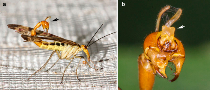    .     .      ,      !