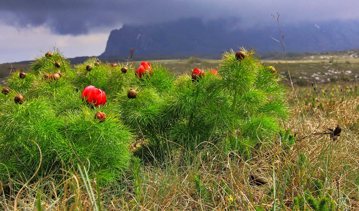 Где-то в Крыму (Чатыр-даг, если быть точнее).
