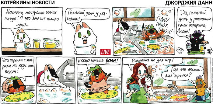 Котейкины Новости от 08.06.2025