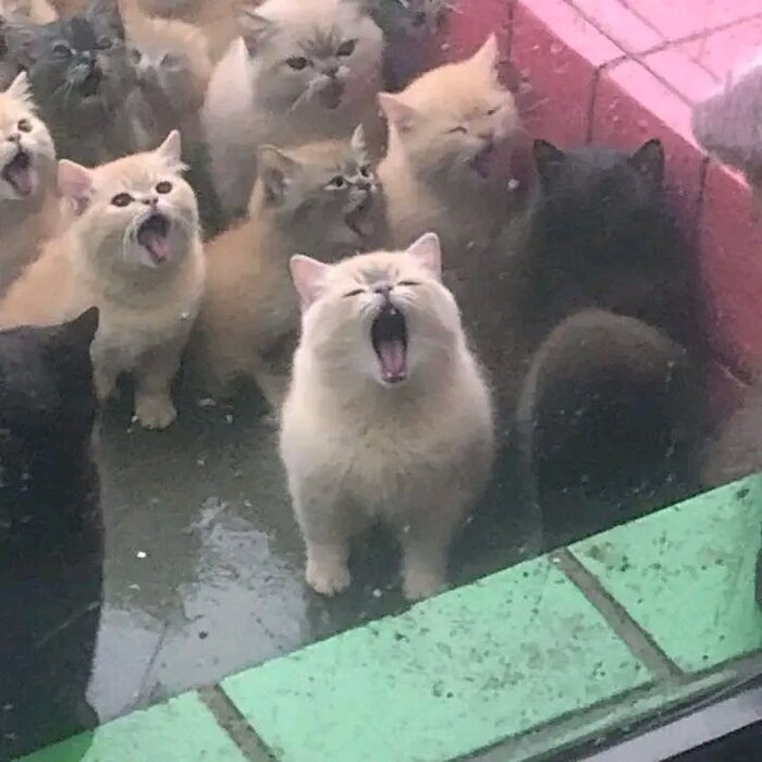 ! , 