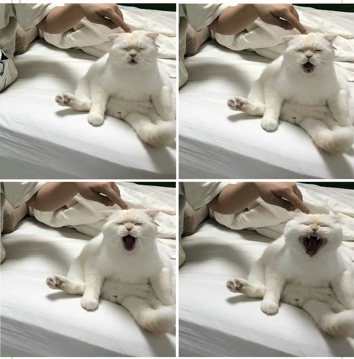  , 