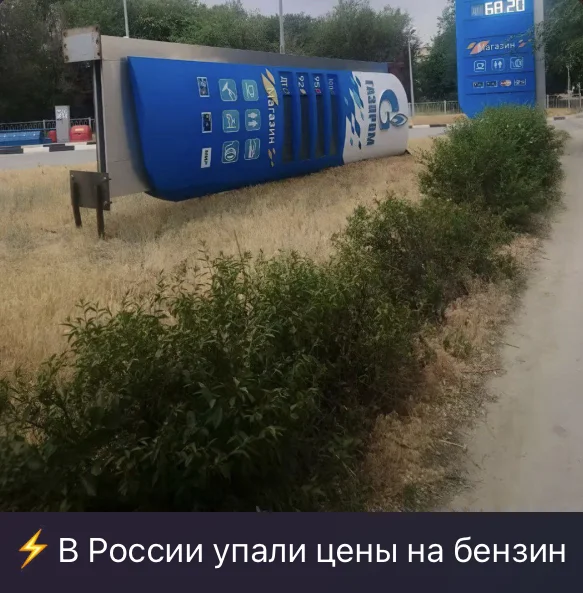 fursjxk7.webp