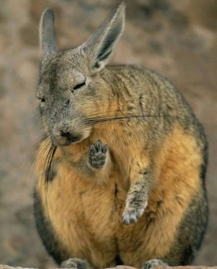    , , ,   , ,  