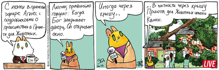 Котейкины Новости от 10.06.2025