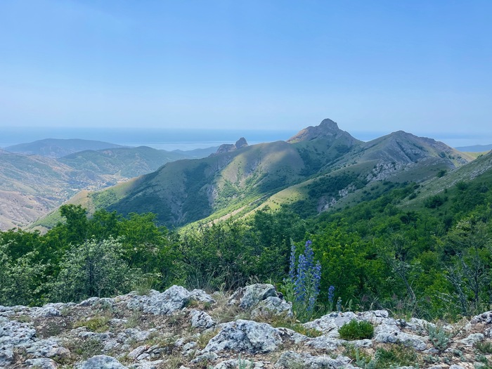 ����������� �� ���� � ����