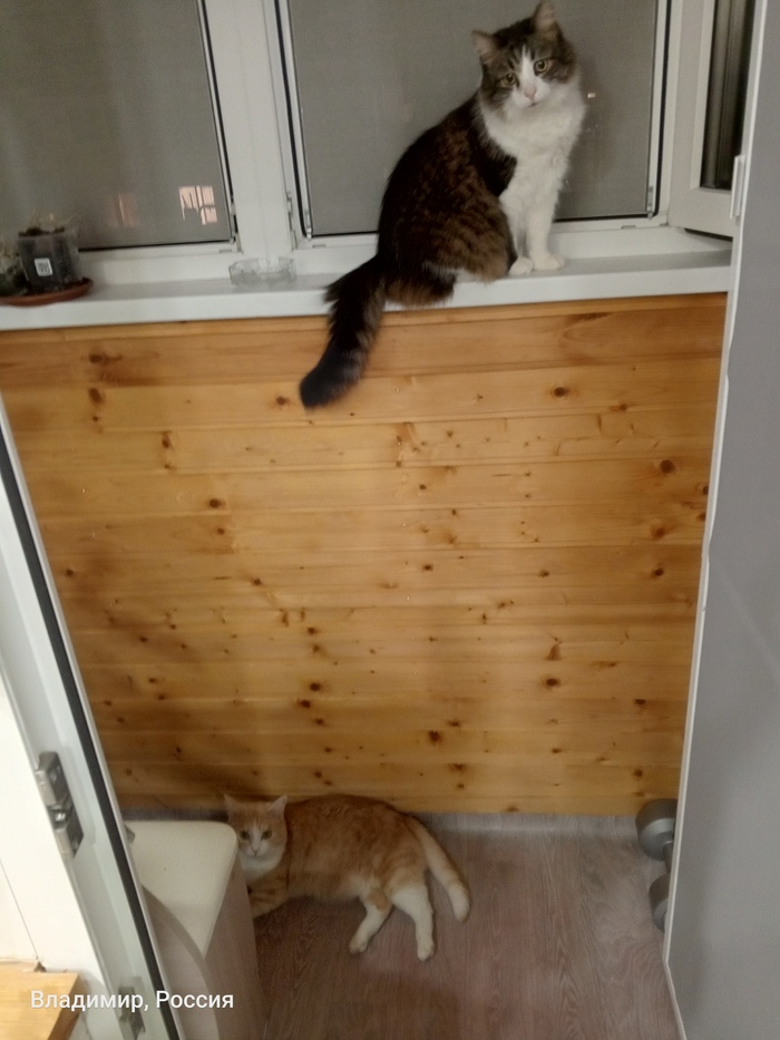 Вечерние посиделки