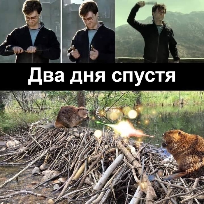       ,  , , ,   ,  ,  ()