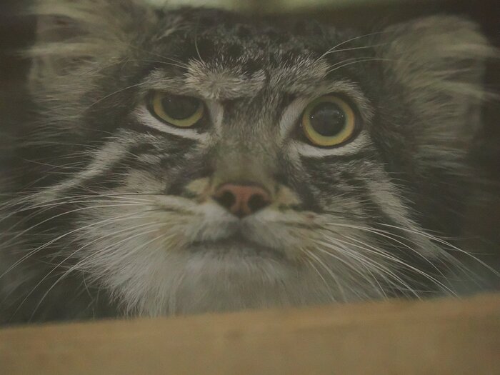 Всмысле среда, но как пятница?