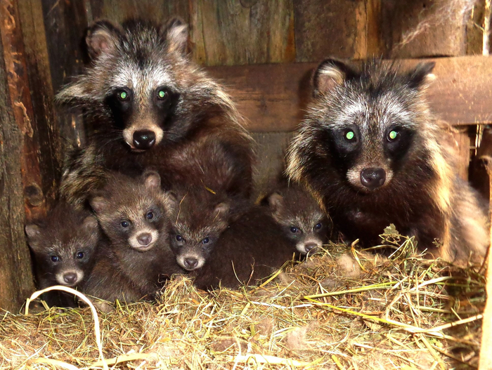           .        .        ,      .