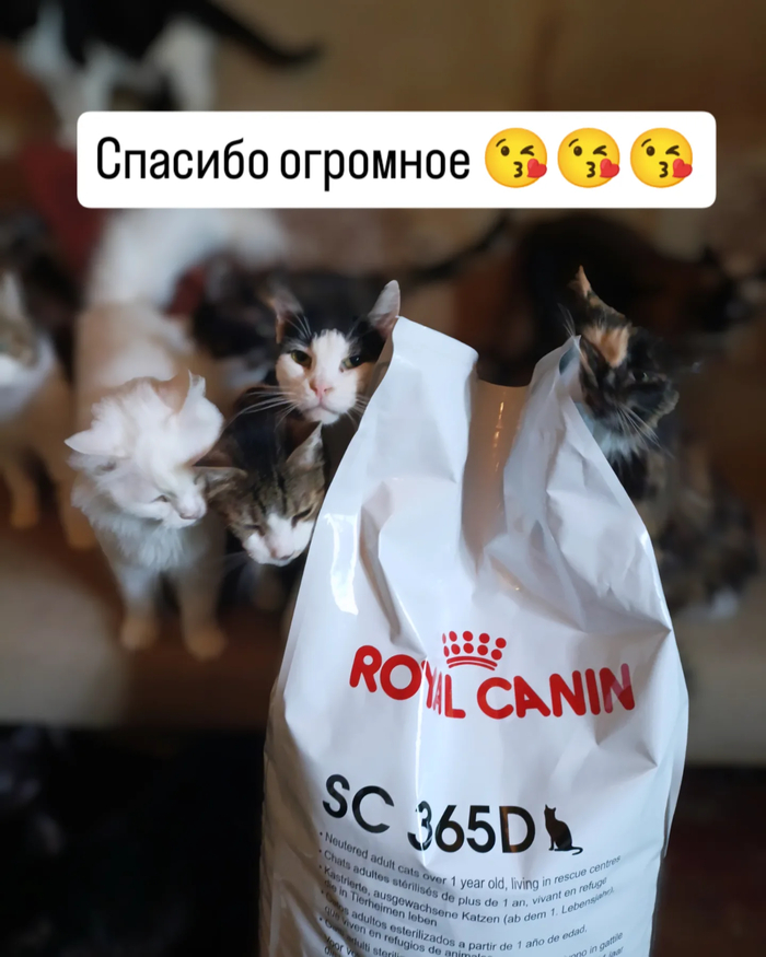   80 ^_^ ,   ,  , , , , ,  , , , ,  ,  , , ,  ,  , 