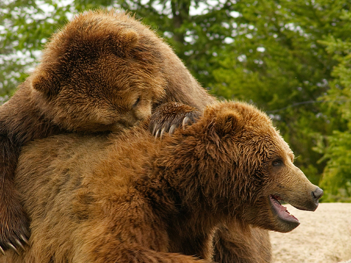    ,    ,       .      .