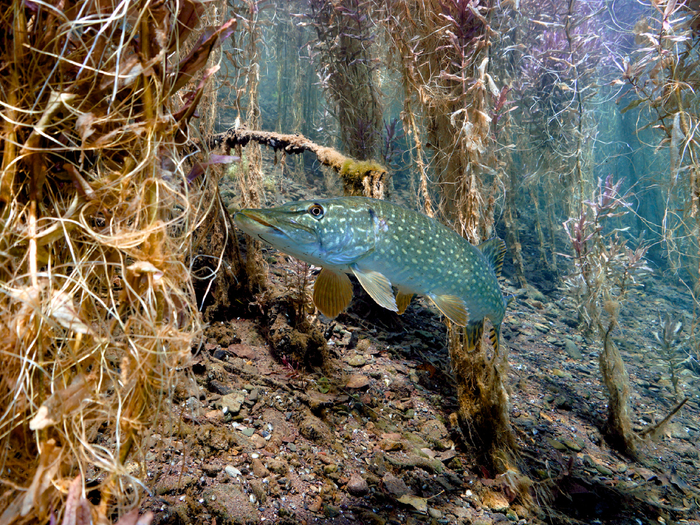      ,        .     ,       ,     .