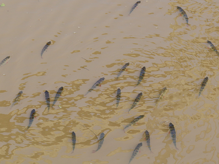       ,      ,   .         .