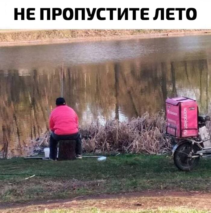      ,   ,   , , , ,  ( ), ,   