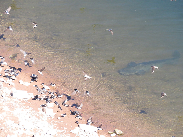    .  ,          .      .