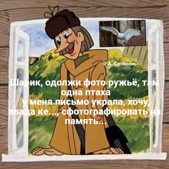  ... ,  , ,  ,  ,   , 