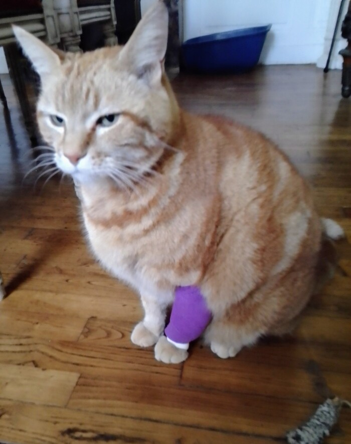 замуровали, демоны!