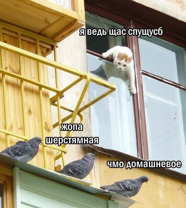 Жырное и ухатое ))