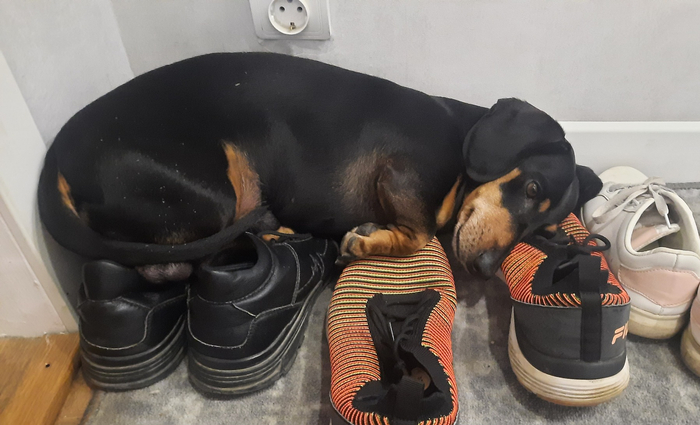 ���� �� ���� ����������