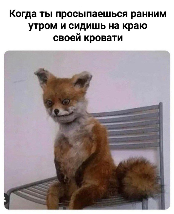       ,   , , ,  , , , 