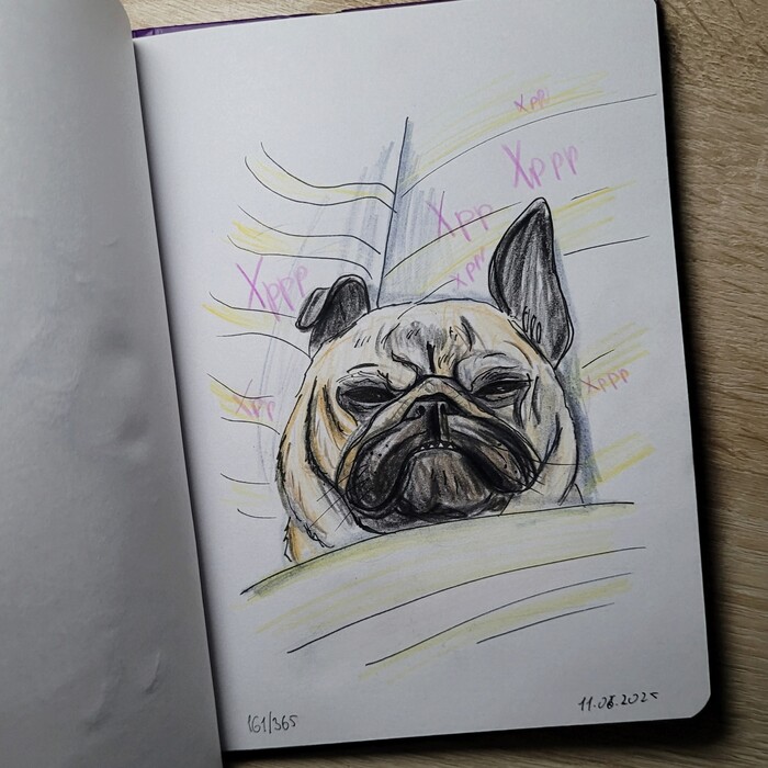   . 161/365 , , , 