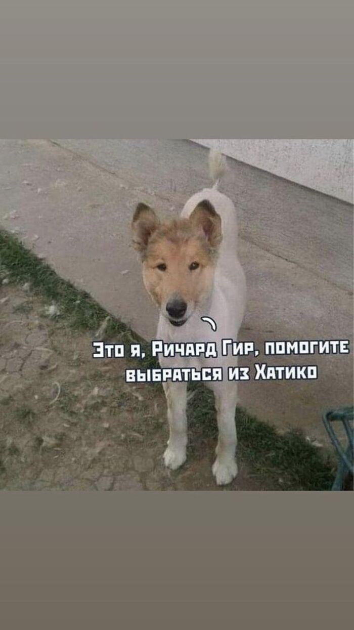     , ,     ()  , ,   
