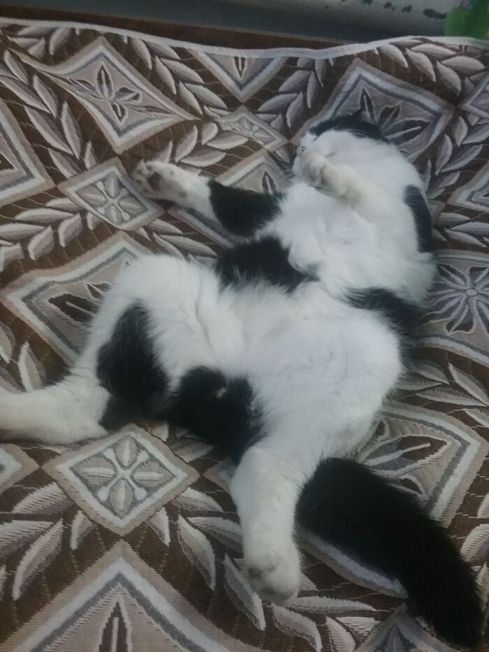 � ������..