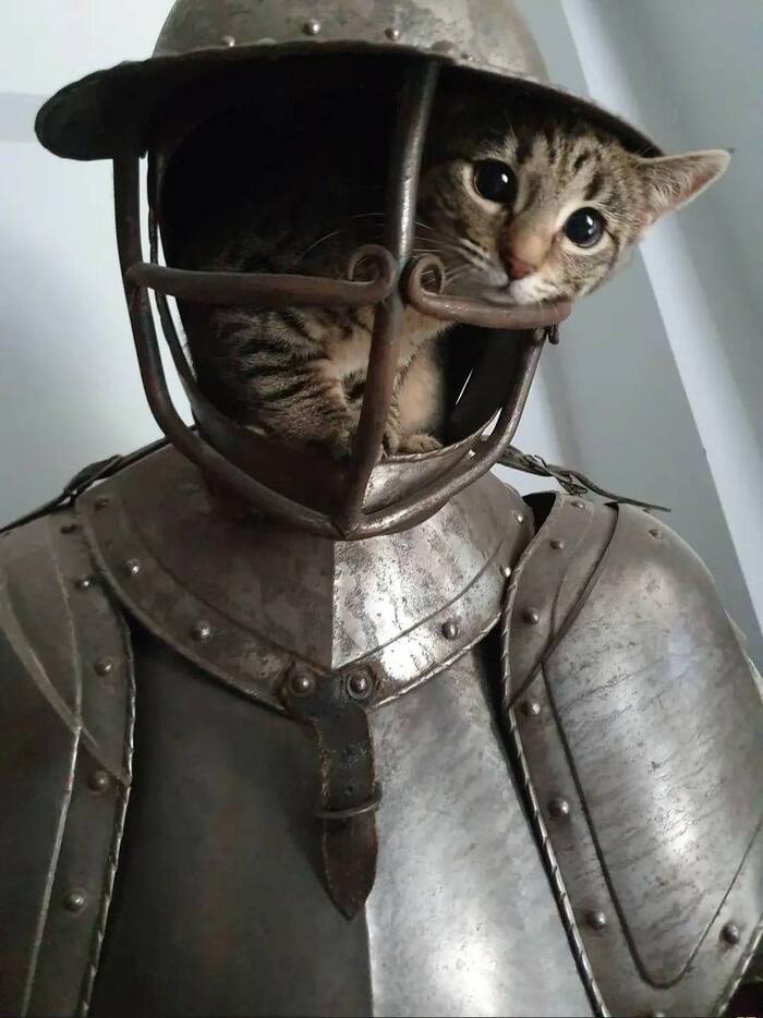  ,  , , , , 