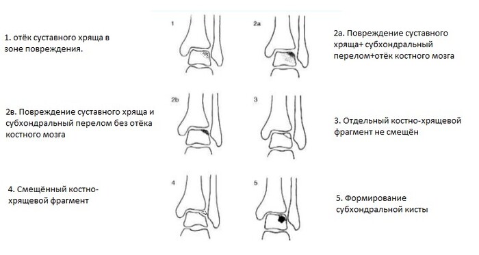     (.)  (+) , , , , , , , , ,  ,  , 