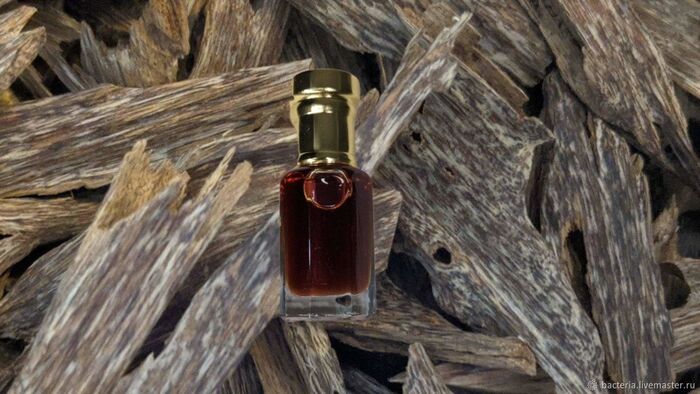 Эфирное масло из агарвуда. Фото с сайта <!--noindex--><a href="https://pikabu.ru/story/aloynoe_derevo_ud_12848939?u=http%3A%2F%2Flivemaster.by&t=livemaster.by&h=68733d753a8e6afdc67dd9ced6b661b78180d5b9" title="http://livemaster.by" target="_blank" rel="nofollow noopener">livemaster.by</a><!--/noindex-->.