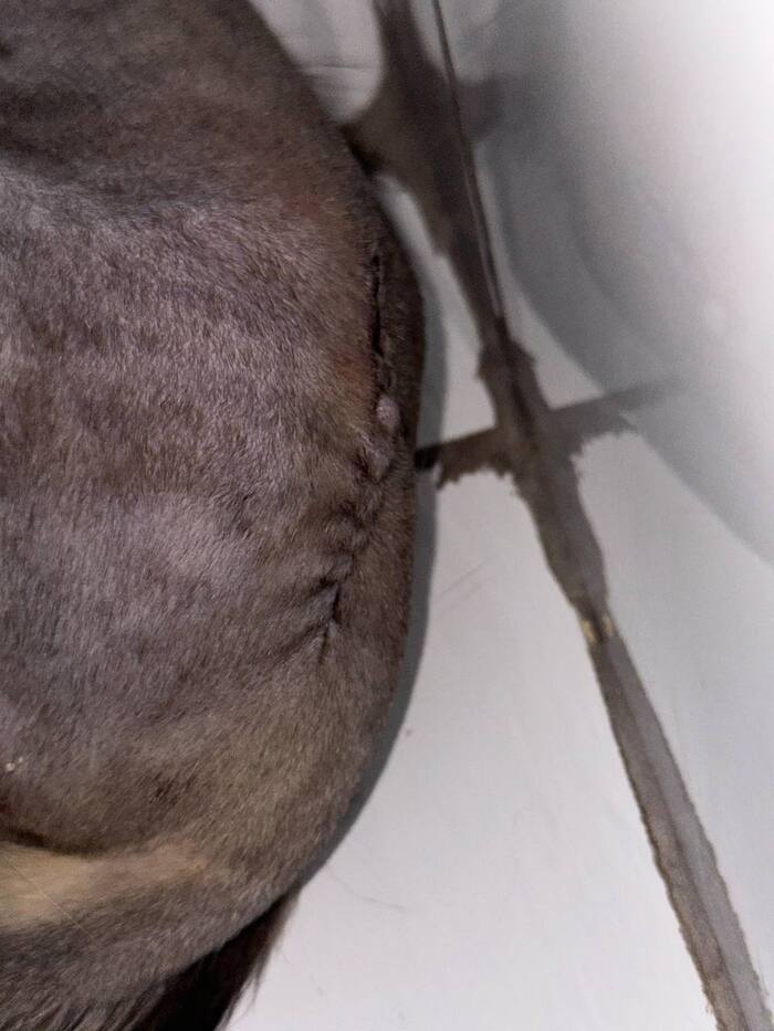 ��������. ������� ��� ������ �� ������