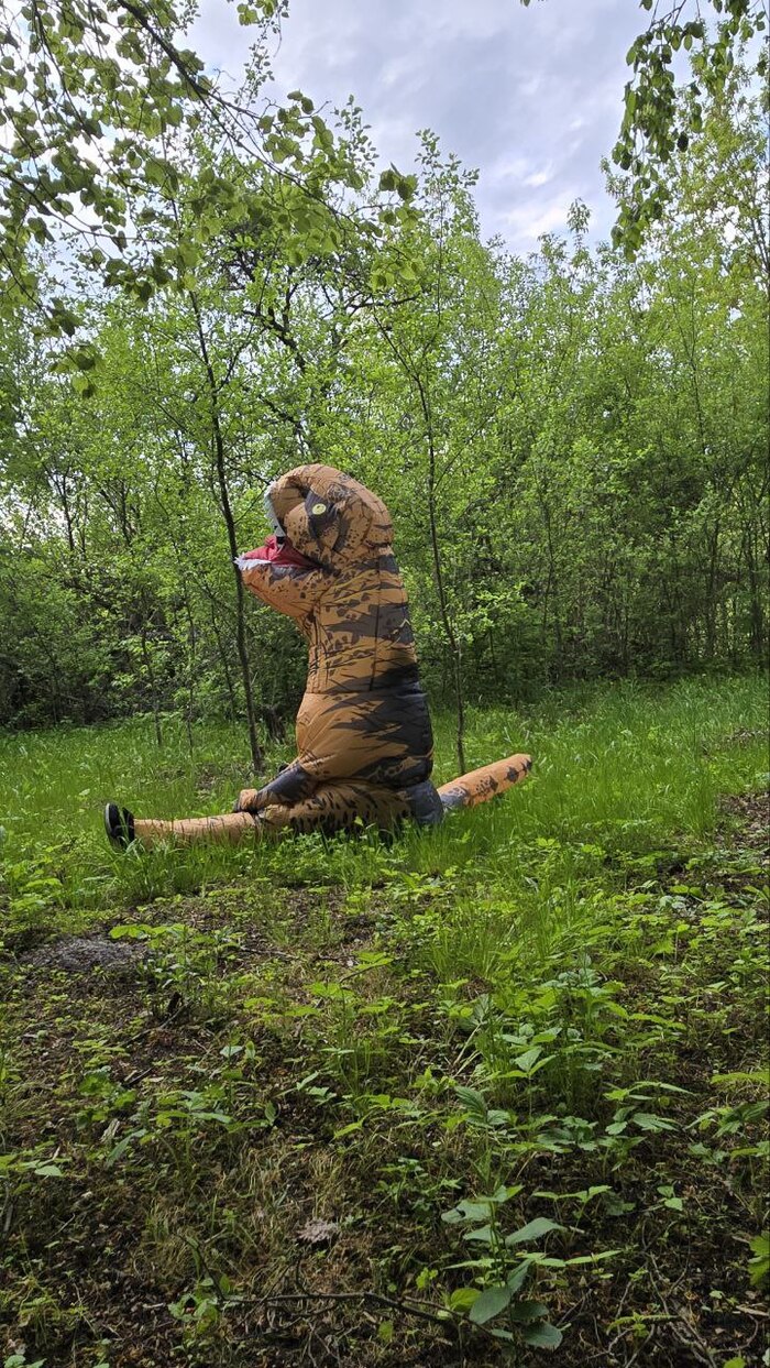 ������ � �������� ���������.