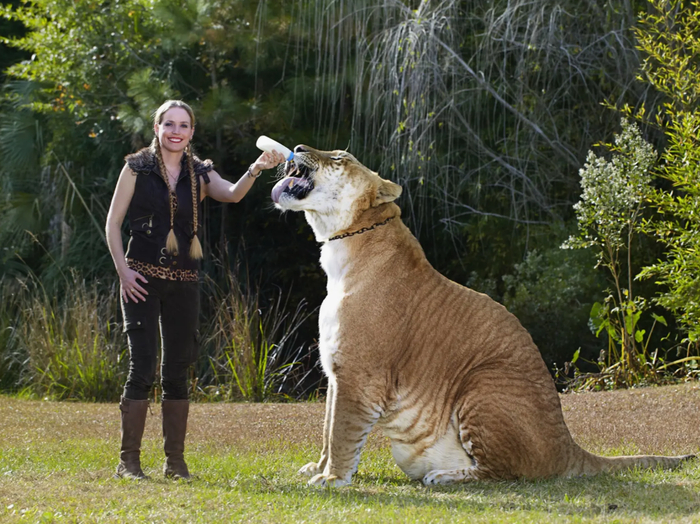 Но он всё равно пьёт молоко из бутылочки :))