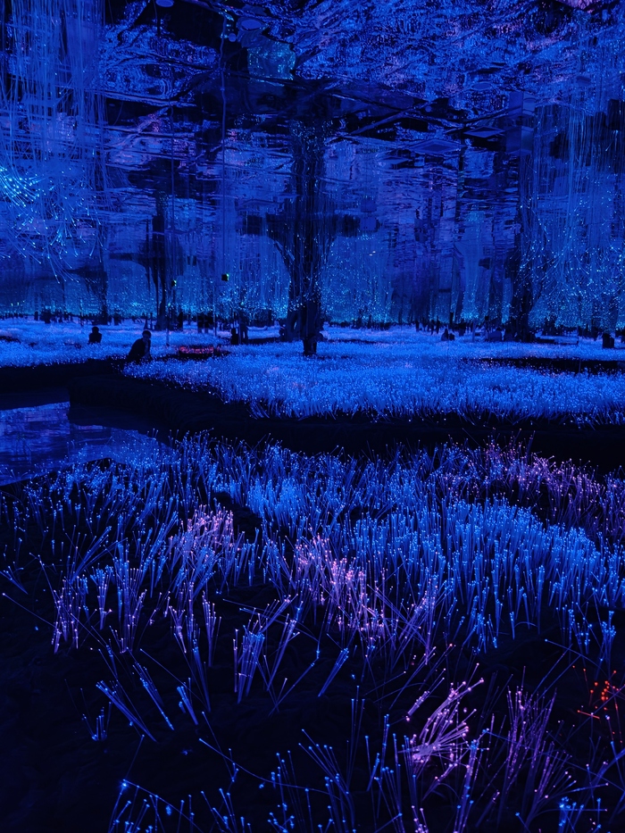 Пейзаж хоть и искусственный, но всё равно чарует.