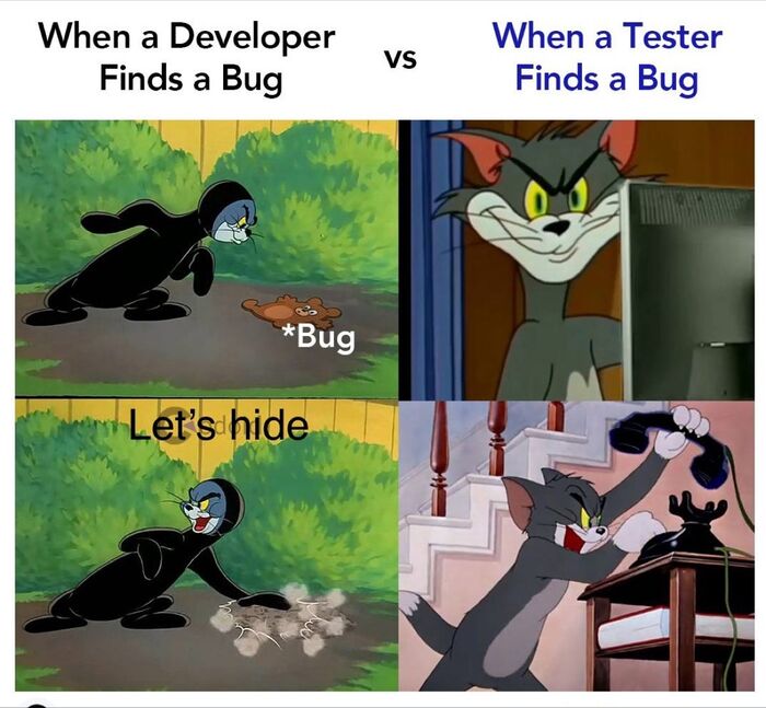     )     ,   Testera,   ,       , , , , , ,  , ,  , IT, , , QA, , , ,   ,  , , 