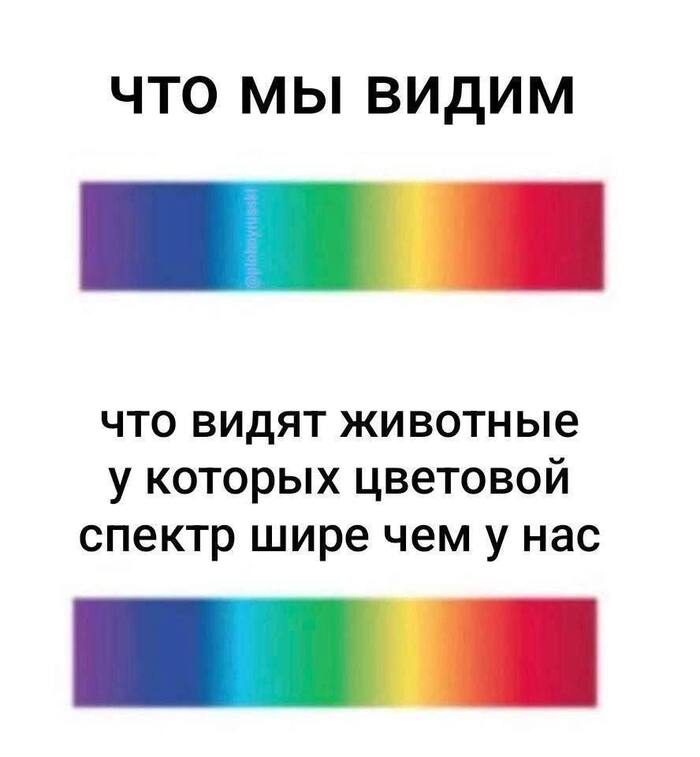      , , , , , 