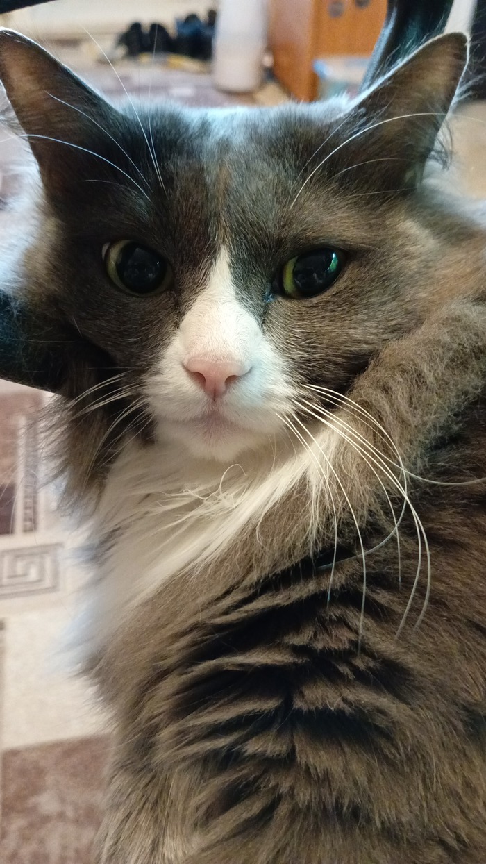 ��� �����