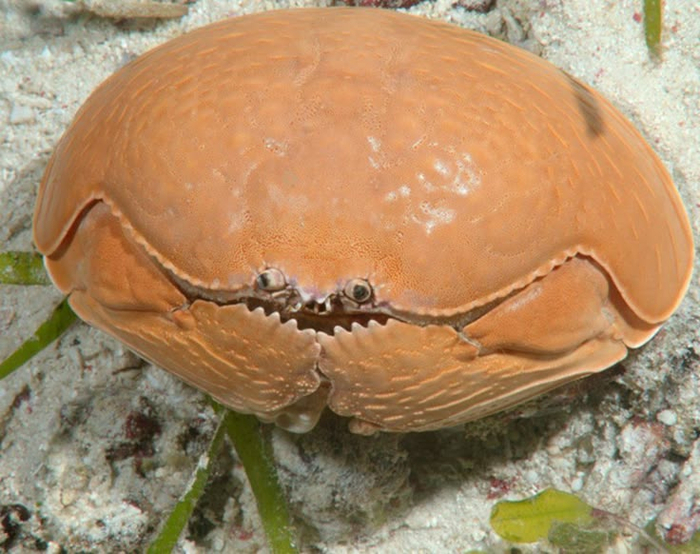  ,       5 ,    1,5 .