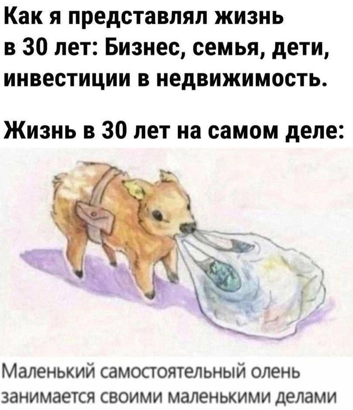     , ,  ,  , 30 , 
