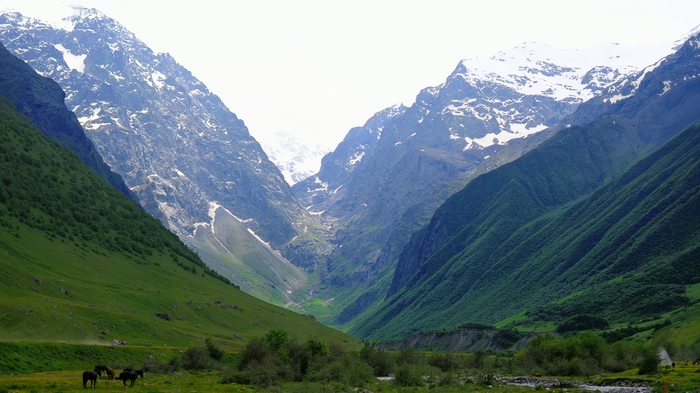 Горное умиротворение