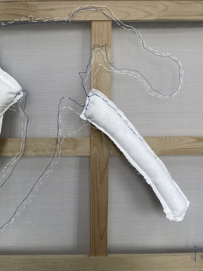 Фрагмент "Комплементации Живого"