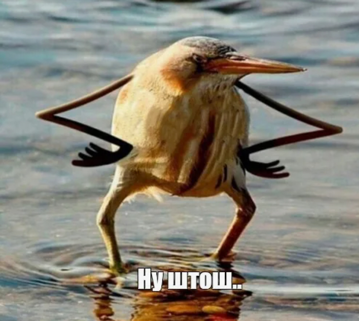 ��������� �����, ��� ������ � �� �����...