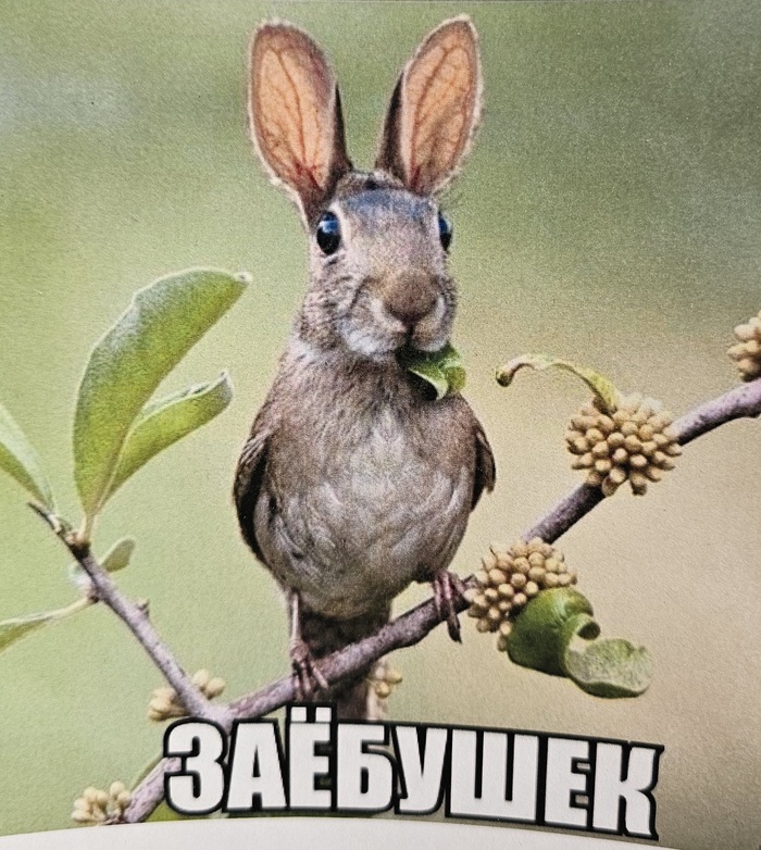 �����������, � � ��� �������!