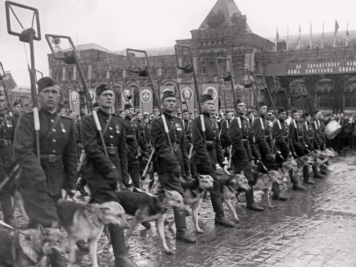  -  -     ,  , 24  1945 .