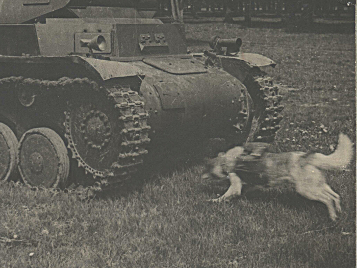  . -     Pz.Kpfw.II,  -    .