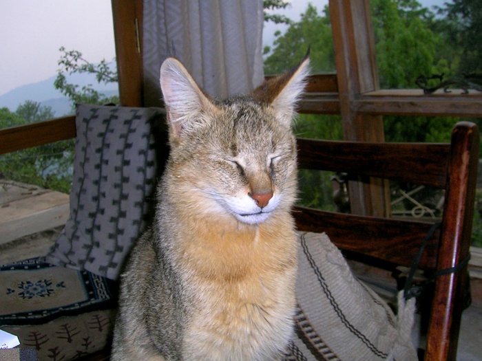  ,      ,       .        !