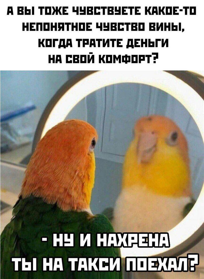    #11 , ,   , , , 