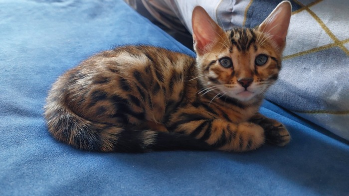 ������ ����, ��� ������� �� ������� � ������. 