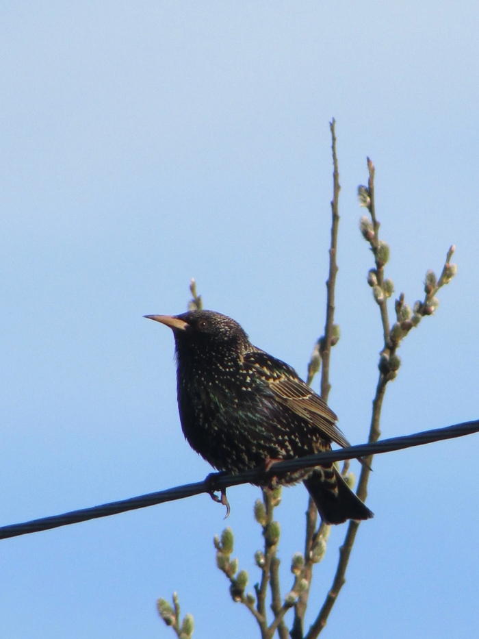 �������� ���������, ������������ �� �������� ������:)