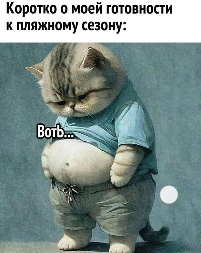    , , , ,  , , 